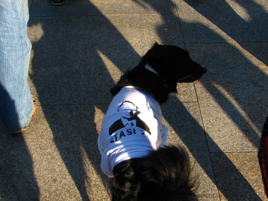 protesting dog