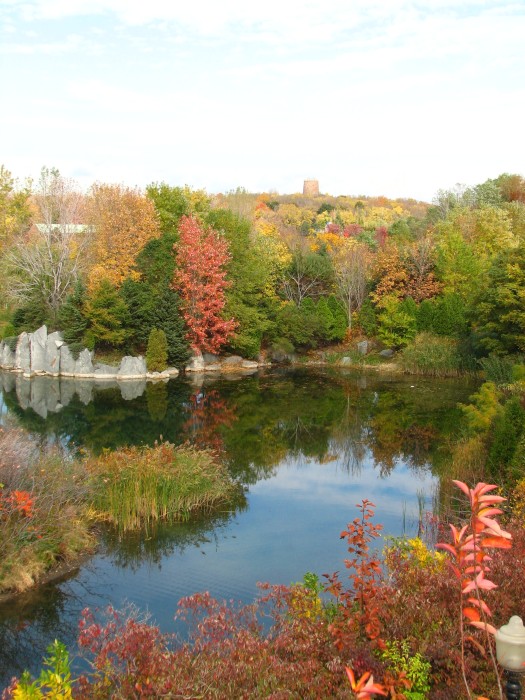 Lac des Cygnes