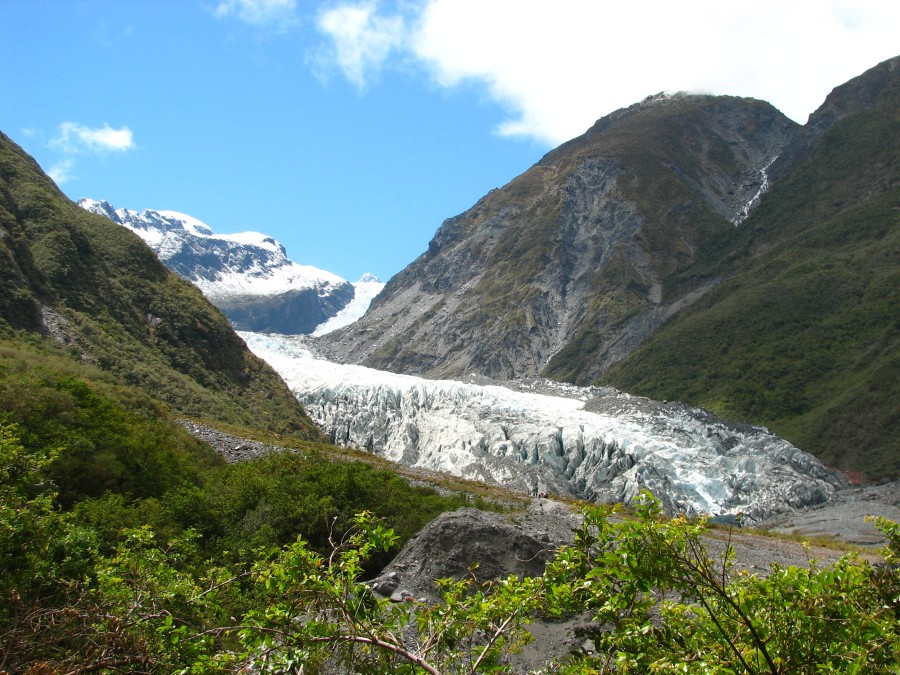 Fox Glacier