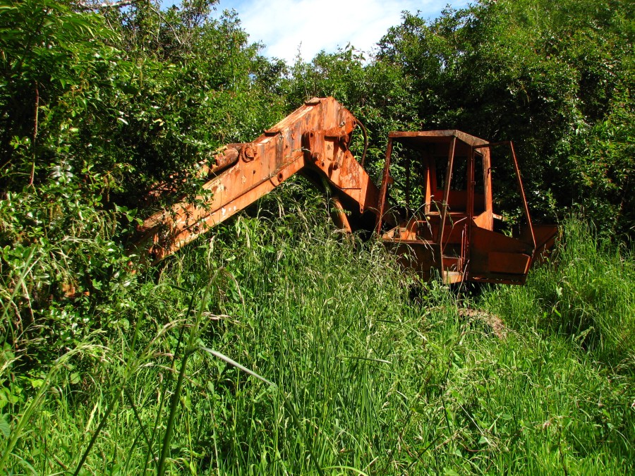 Goldminer's Digger near the Buller River