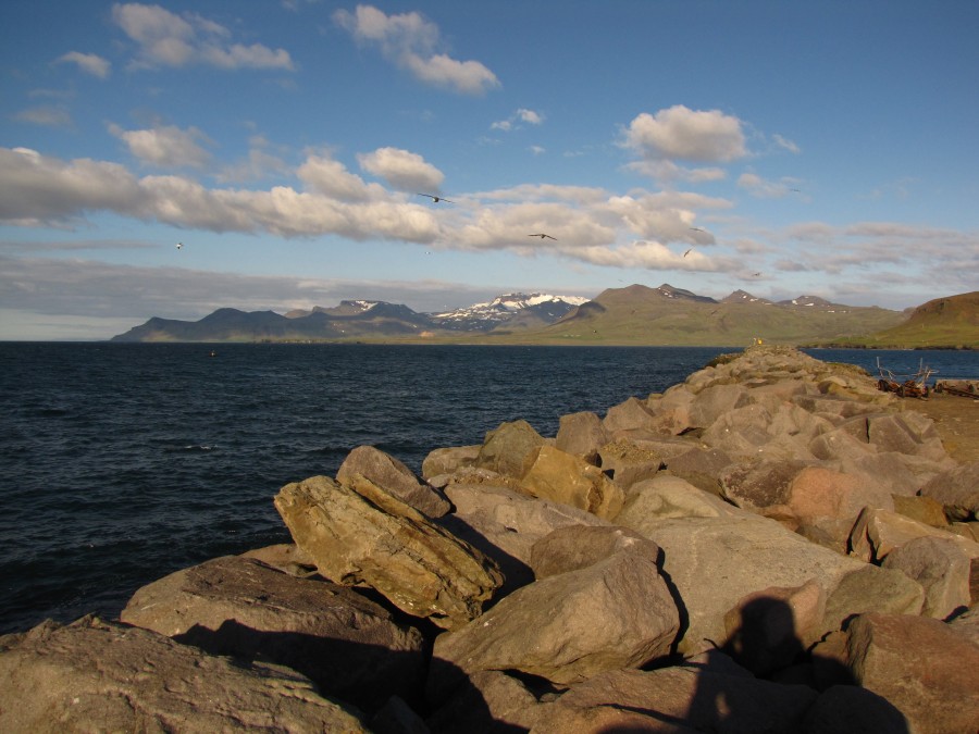 At Ólafsvík Harbour