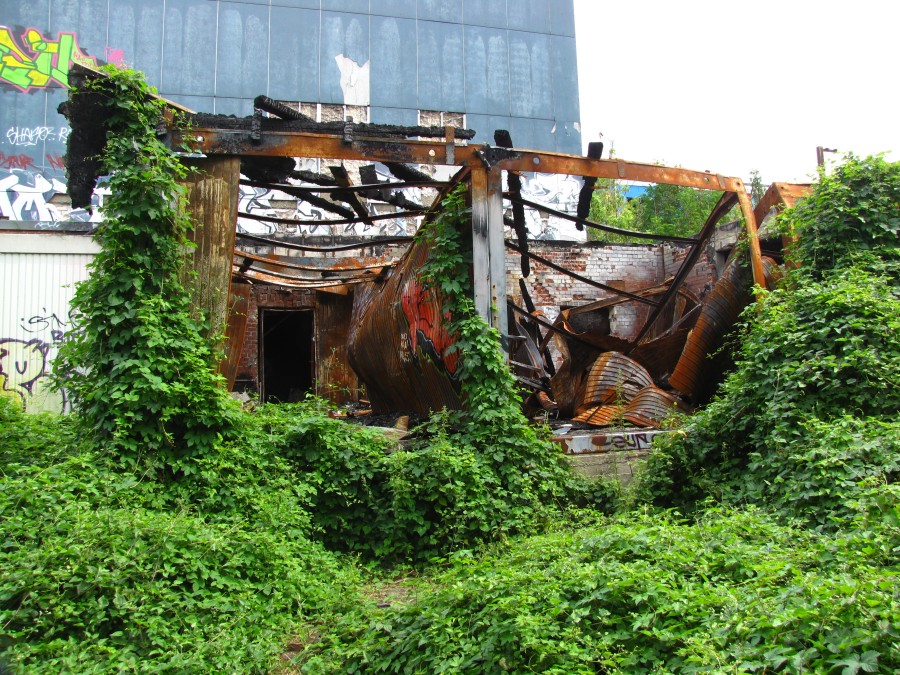 Metal Shed in Ruins