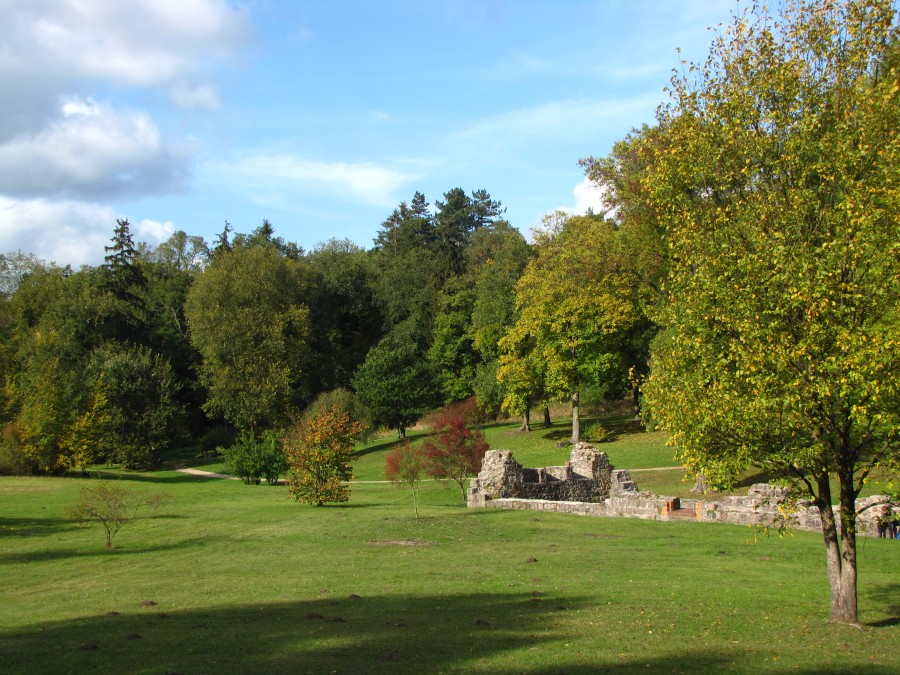 Autumn Foilage at Chorin Cloister