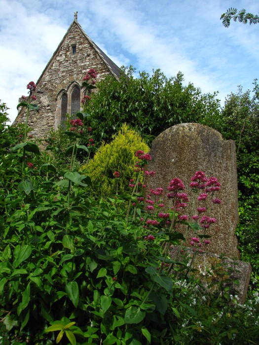 Church of St. Mary in Youghal