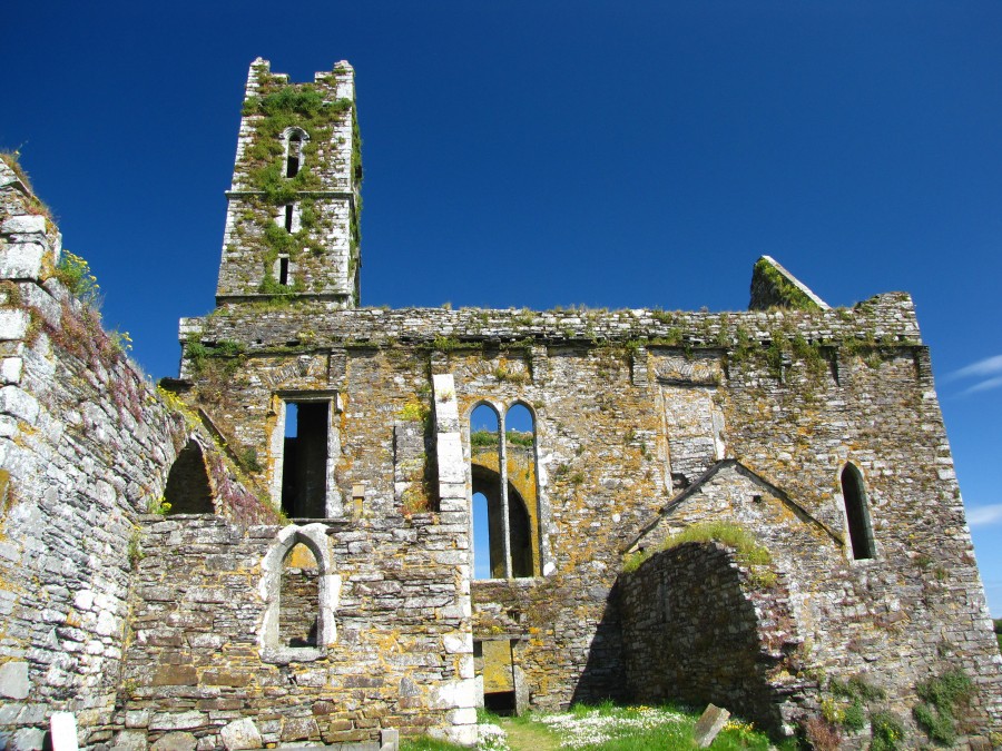 Timoleague Abbey