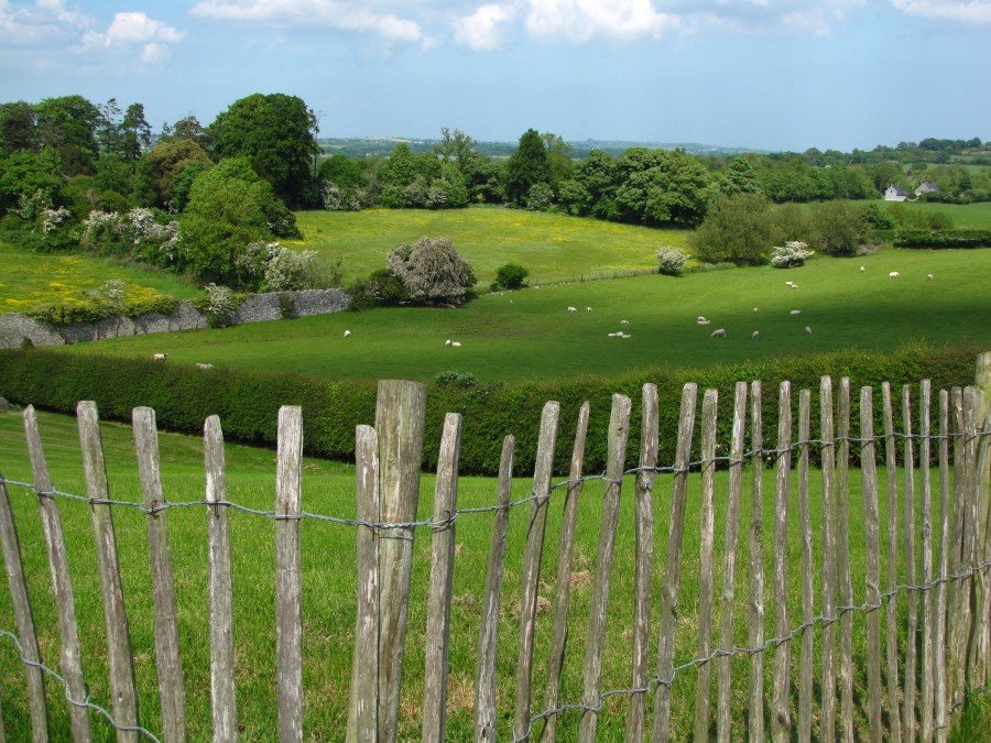 Meadows at Newgrange