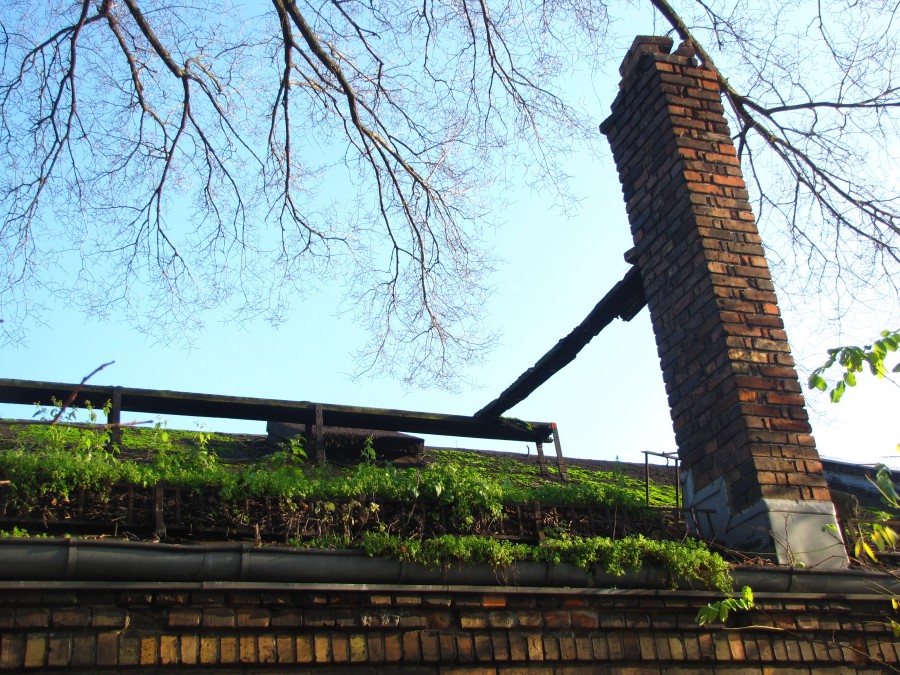 An old Roof