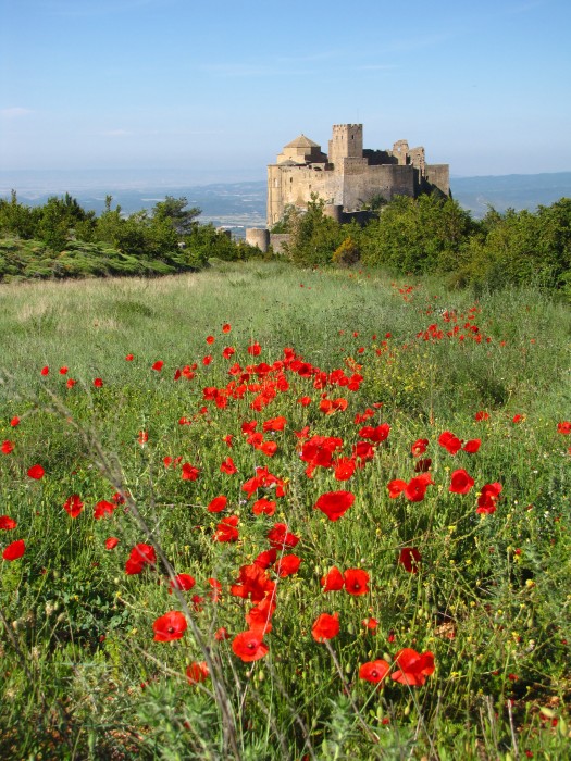 Castillo de Loarre with Poppies