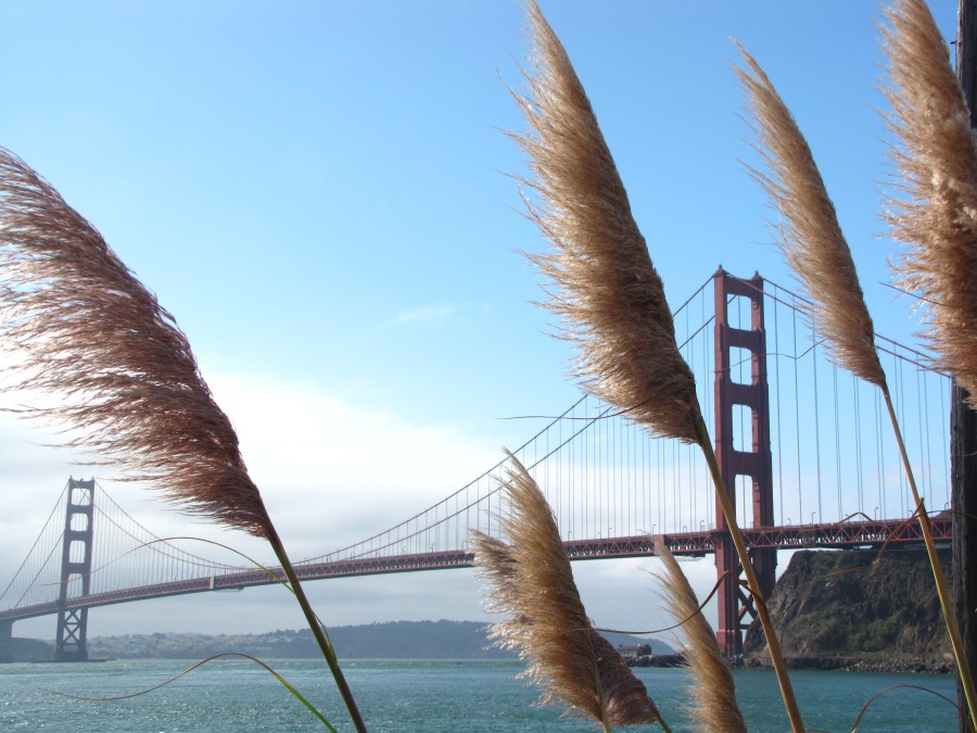 Golden Gate Bridge