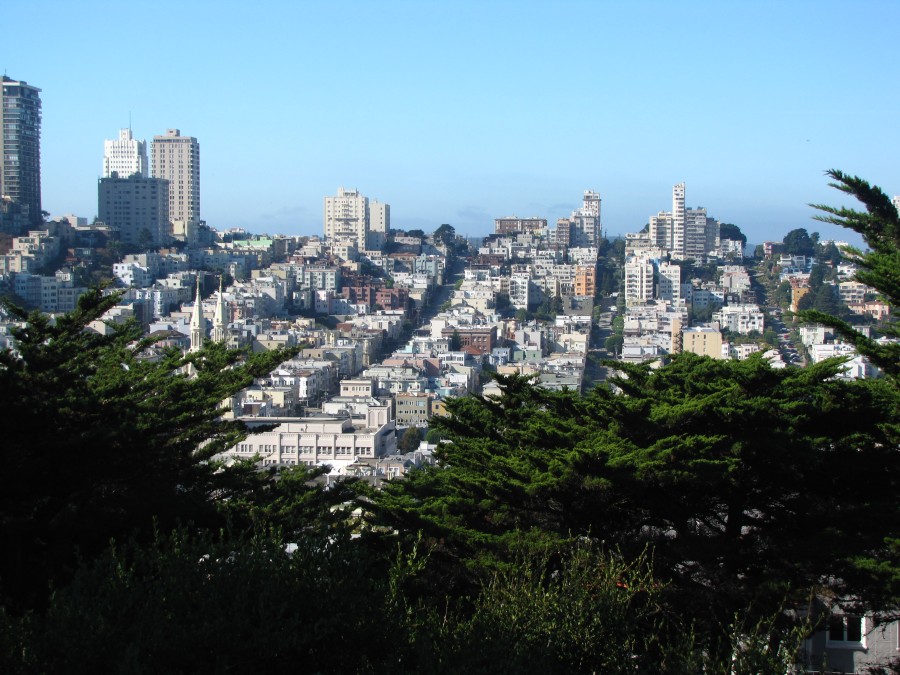 View from Coit Tower