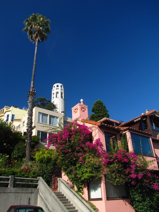 At Filbert Steps to Coit Tower