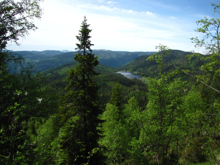 Mountain View in the Telemark