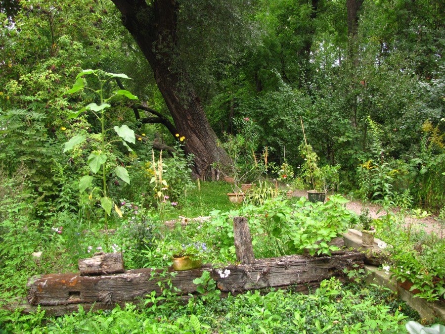 Private Garden in Erfurt