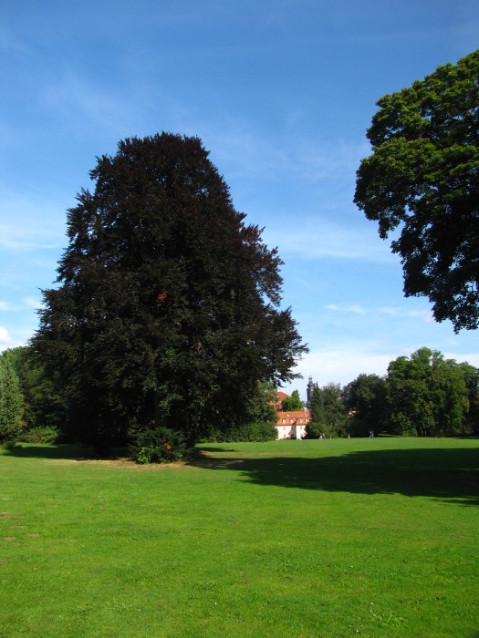 Ilm Park, Weimar