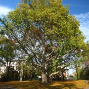 20121026-130446-canon.jpg