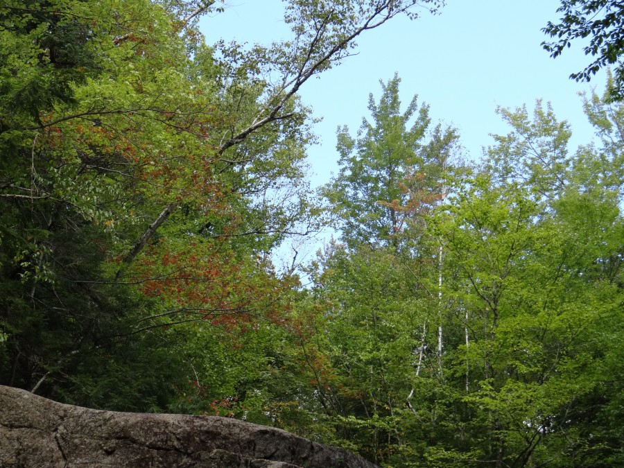 Franconia Notch State Park, NH