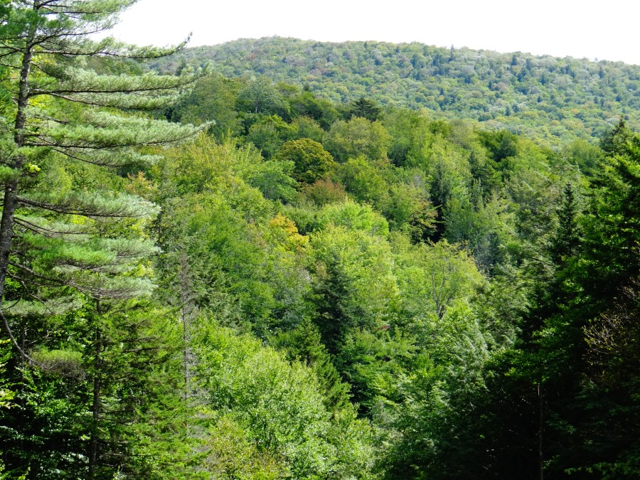 Franconia Notch State Park, NH