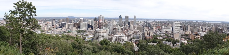 Montreal Panorama