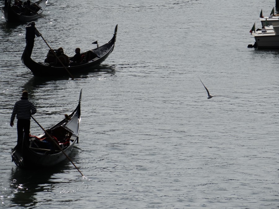 Gondolas on the Grand Canal