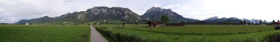 Meadows around Neuschwanstein Castle (Bavaria)