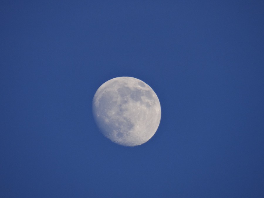 Nearly full moon (Bavaria)