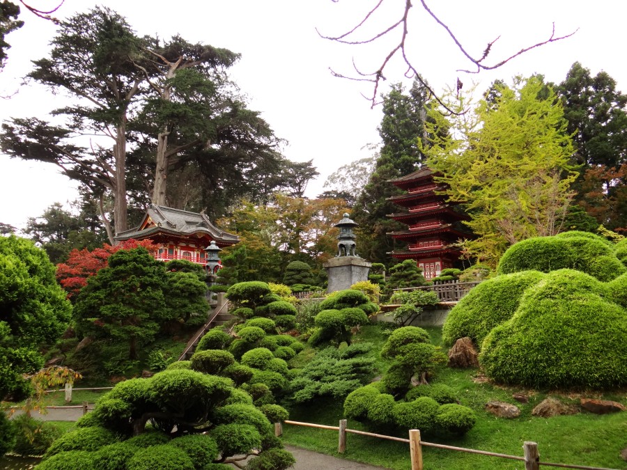 Japoanese Garden at Golden Gate Park